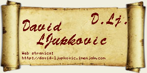 David LJupković vizit kartica